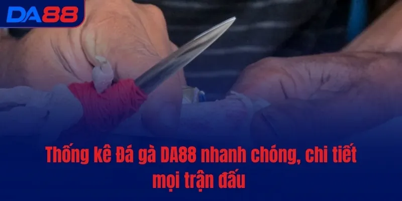 Thống kê Đá gà DA88 nhanh chóng, chi tiết mọi trận đấu