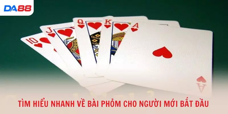 Tìm hiểu nhanh về bài Phỏm cho người mới bắt đầu